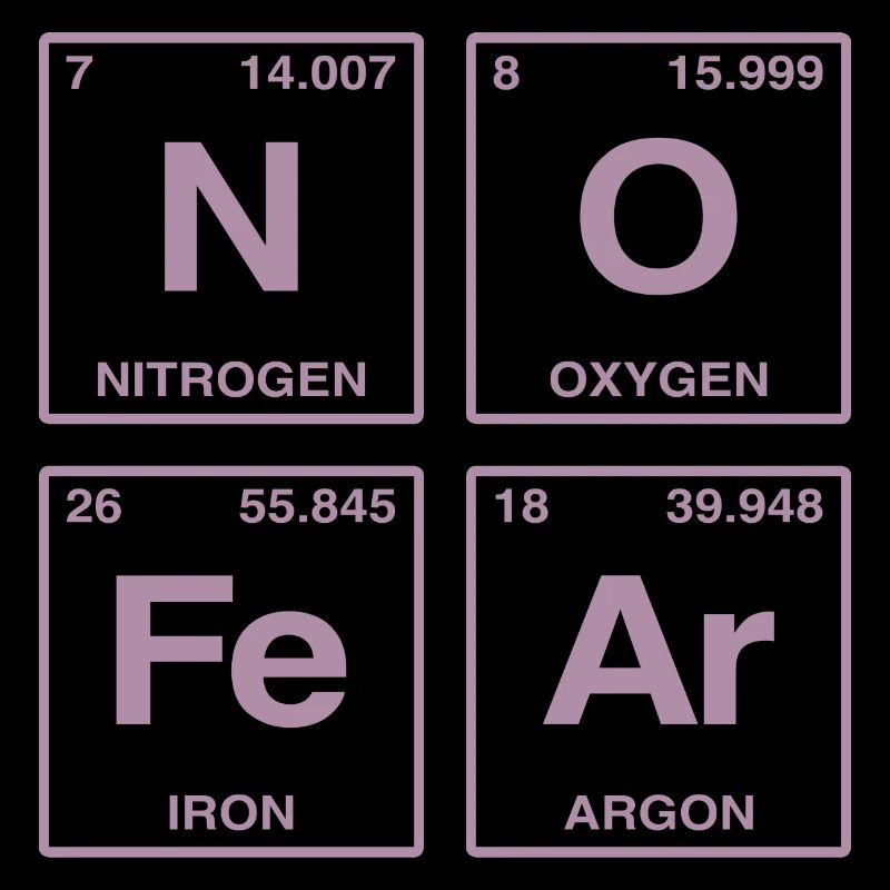 NO FEAR - with elements of the perdiode system