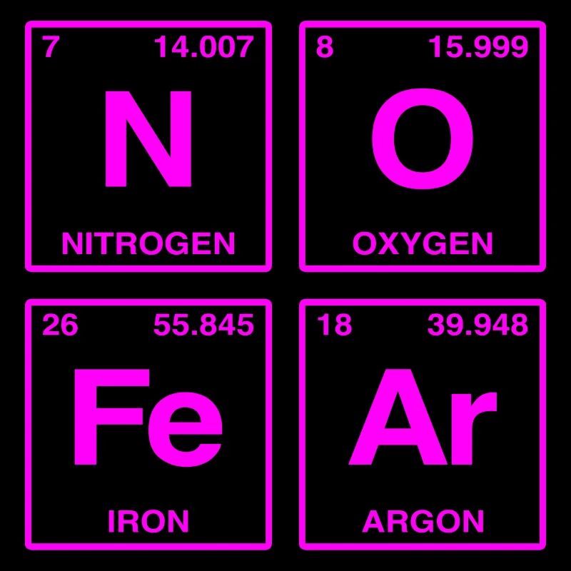 NO FEAR - with elements of the perdiode system