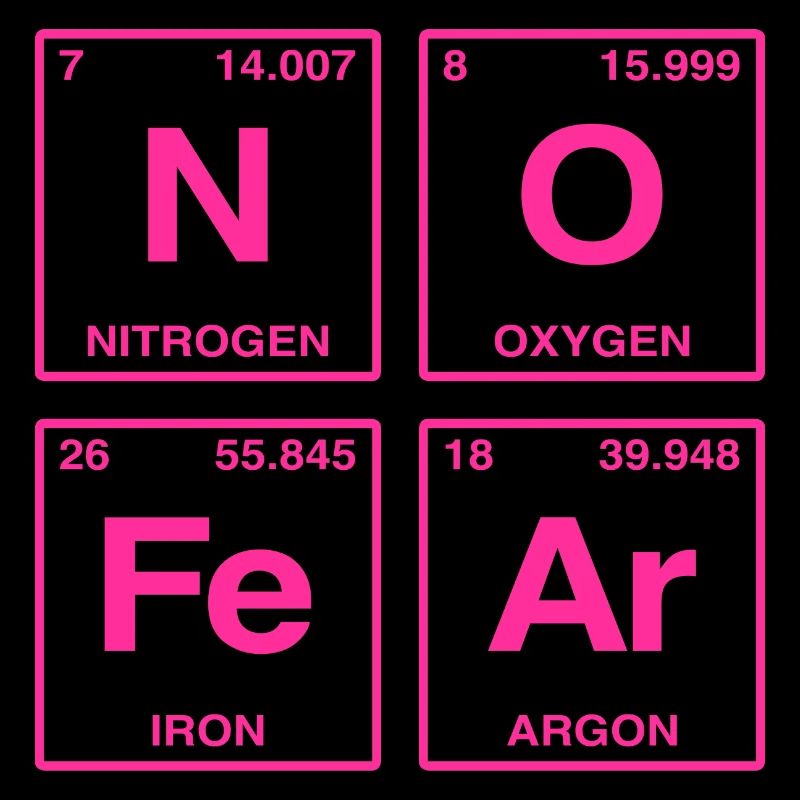 NO FEAR - with elements of the perdiode system