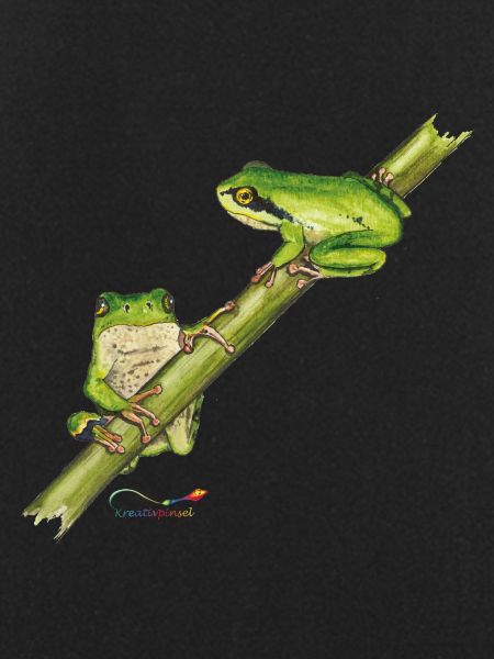 Tree frog