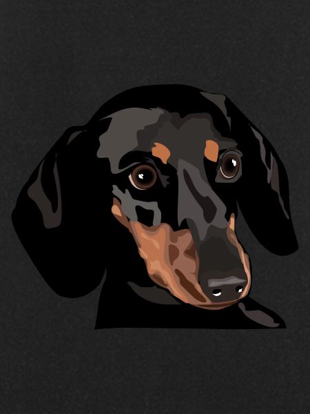 Dachshund Head