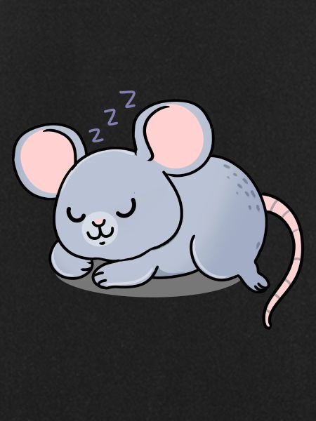Mouse asleep