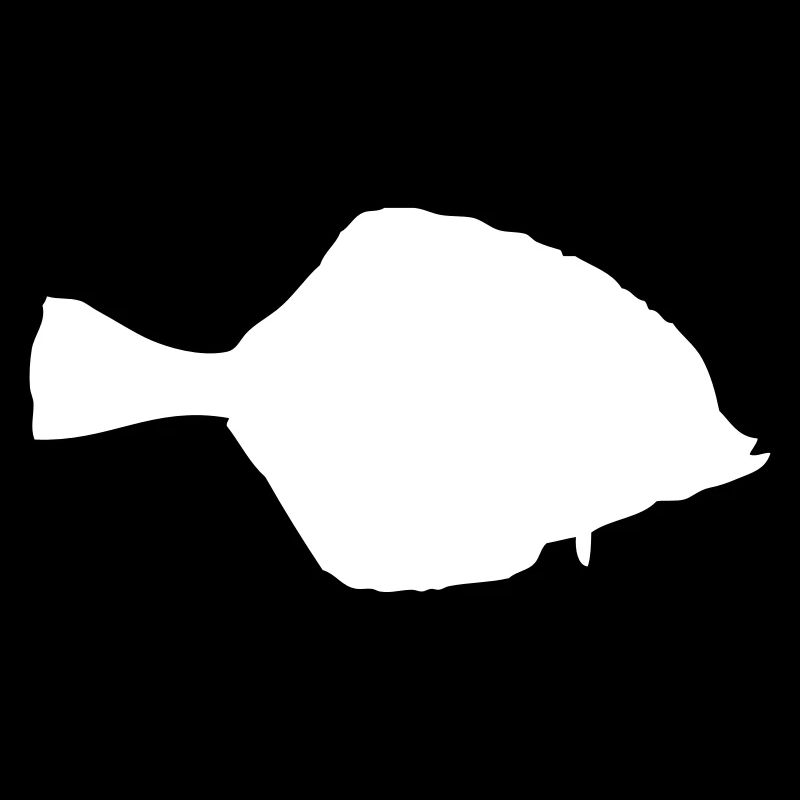 Flunder - Fisch - Fish