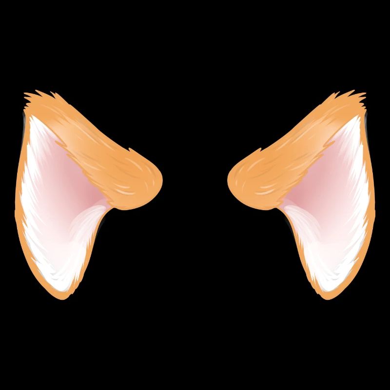 Oreilles de chat d'un chat orange