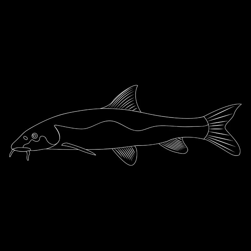 Barbe Fish