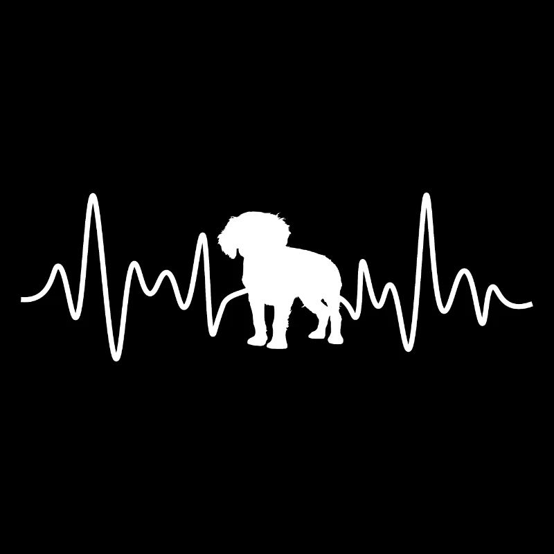 Cavalier King Charles Spaniel Herzschlag