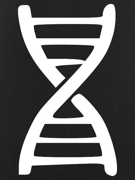 DNA Genetic Engineering Research Gift
