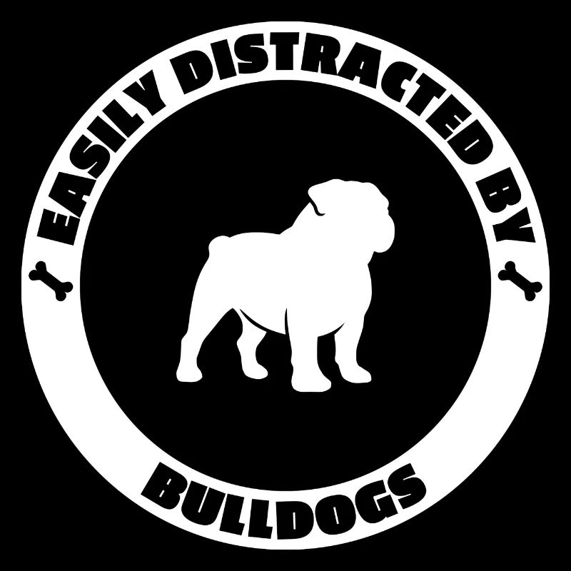 Facilement distrait par les bouledogues