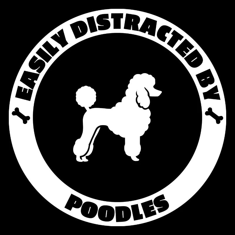 Easily distracted by Poodles