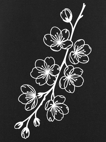 Sakura Line Art on Black