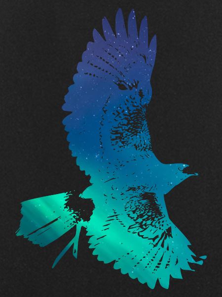 Flying eagle
