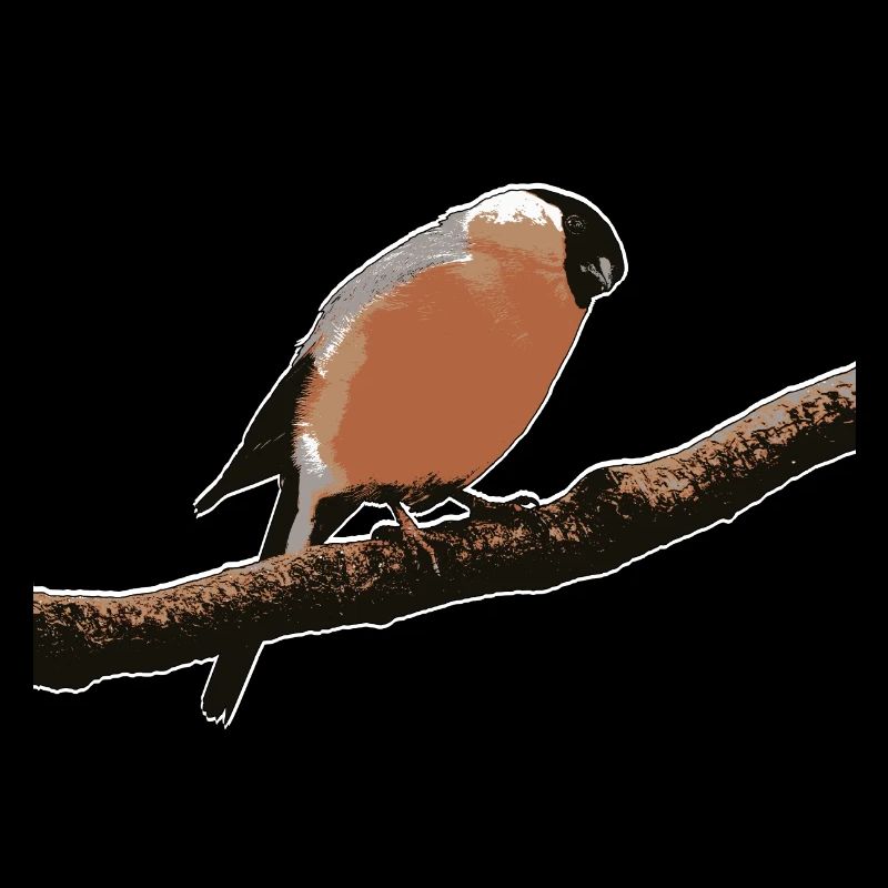 Bouvreuil mignon