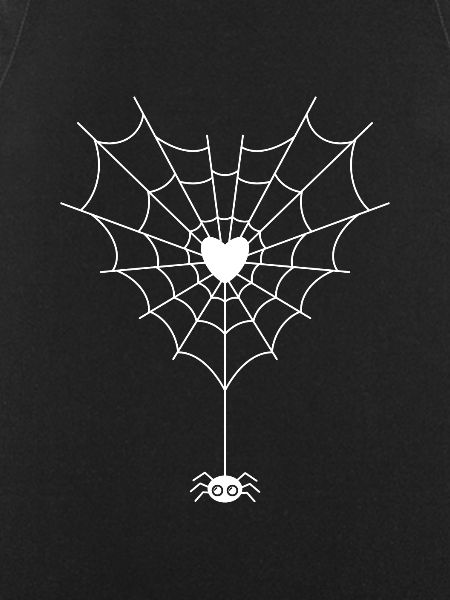 Spider in spider web
