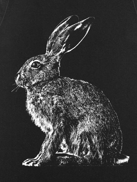 Hare / Hare / Hare / Bunny