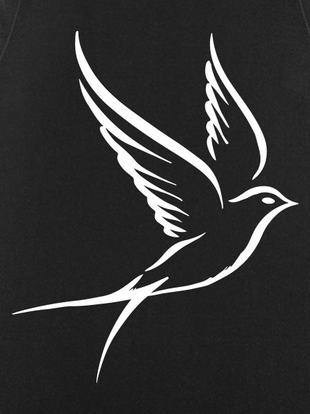 Bird Pigeon