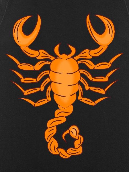 Sternzeichen Skorpion