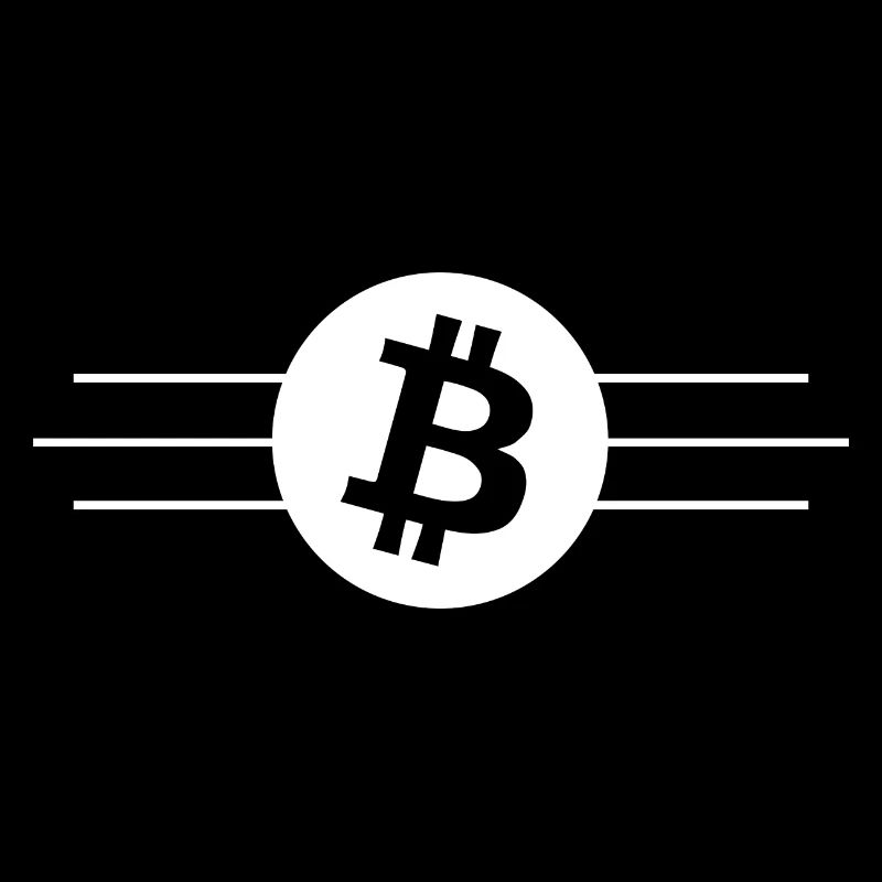 The Bitcoin monetary system