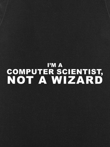 computer scientist