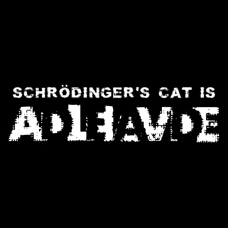 Chat de Schrödinger