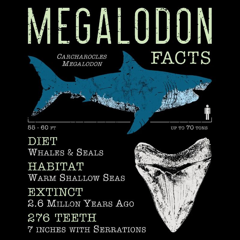 Faits sur le mégalodon
