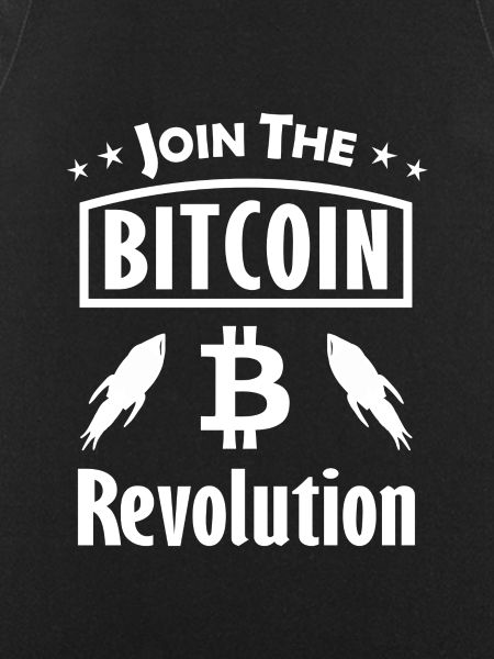 Das Bitcoin Experiment