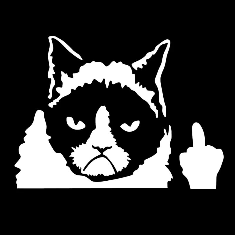 Angry Cat Cat Main Coon Persian Cat Gift