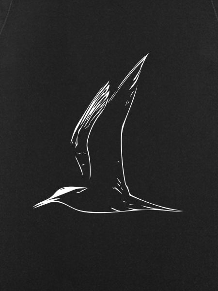 gull