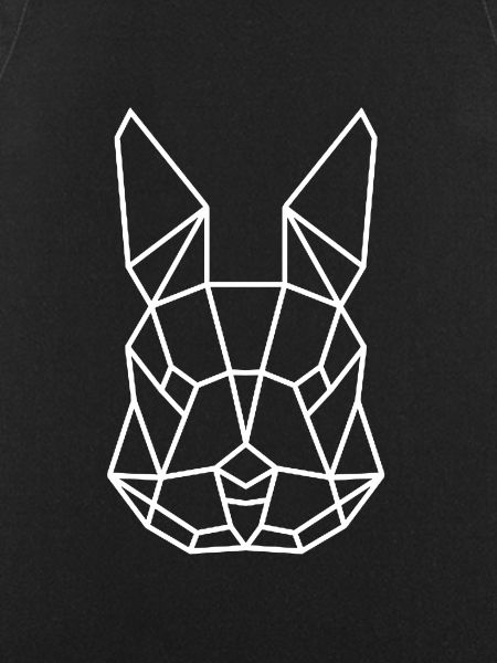 Lapin lapin poly