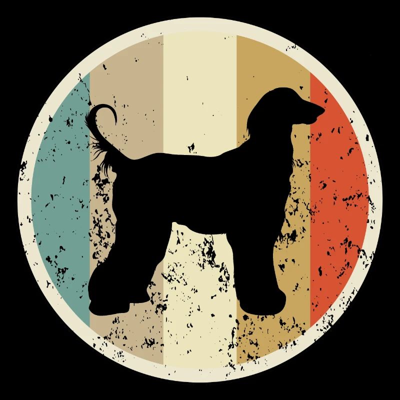 Afghanischer Windhund Afghane