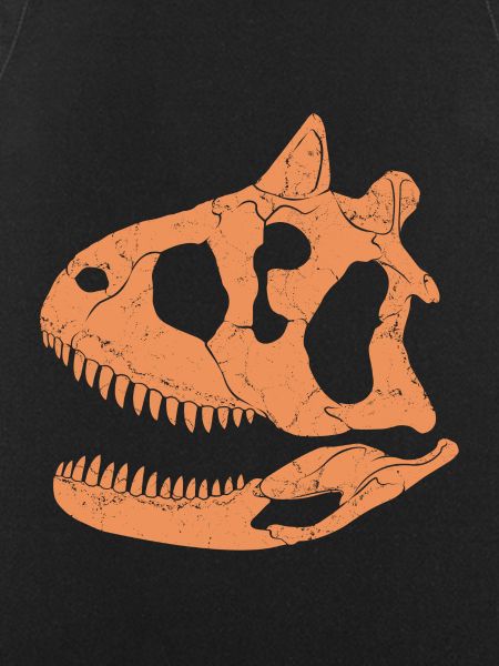 Carnotaurus fossil skull