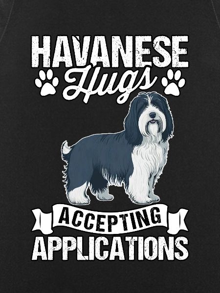 Havanese Hugs Accepting Applications