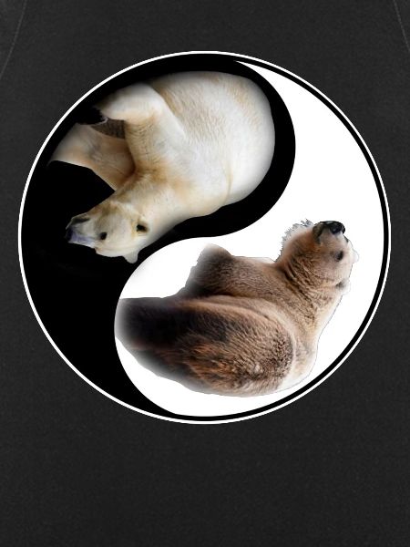 Yin Yang Bear