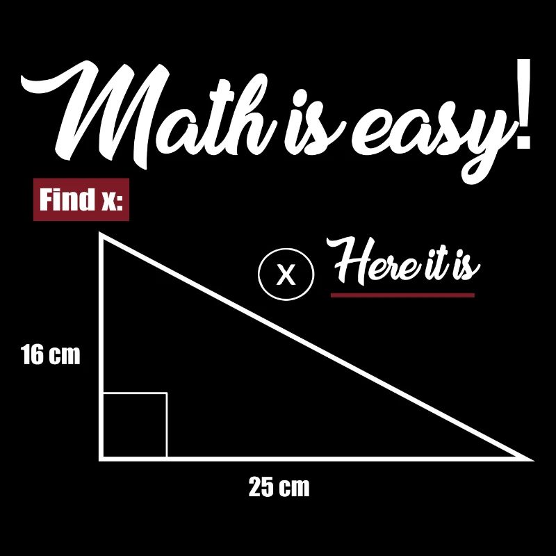 Funny Math Is Easy Find X