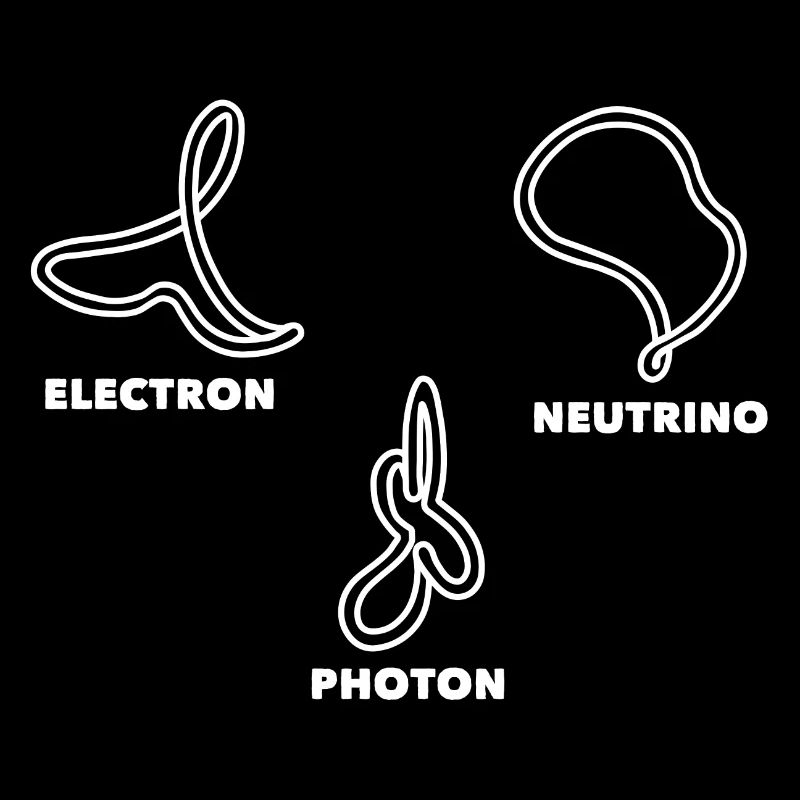String Theory Electron Neutrino Photon