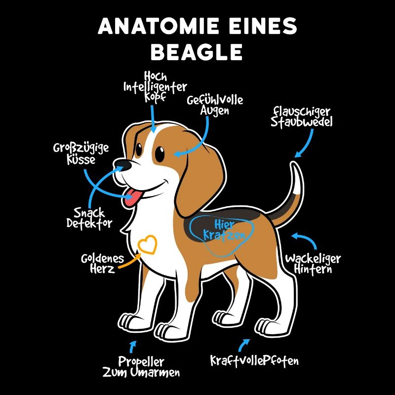 Anatomie Eines Beagle