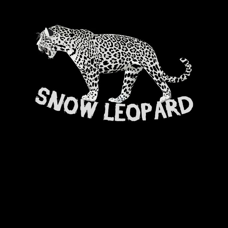 Schneeleopard Leopard Wildnis Tier Selten