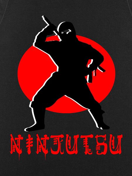 Ninjutsu Ninja