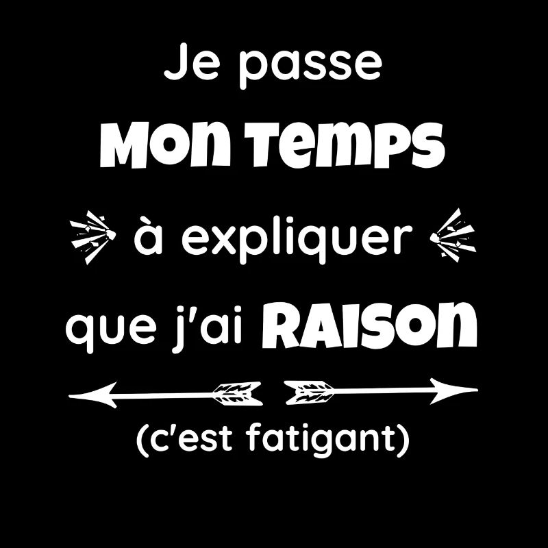 Je passe mon temps à expliquer que j'ai raison