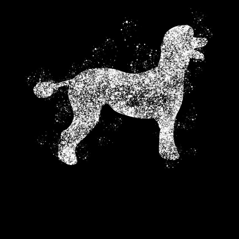 Pudel Hund Hunde
