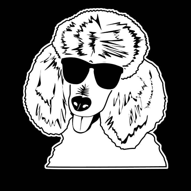 Pudel mit Sonnenbrille