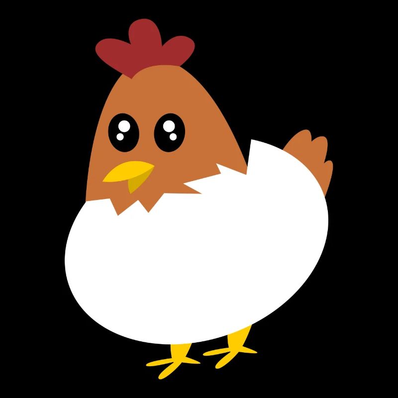 Chicken Eggs Chicken Egg Chicken Eggshell