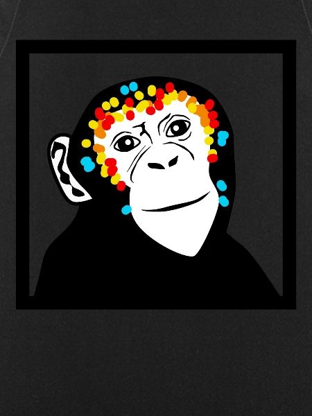 Monkey Monkey Face Monkey