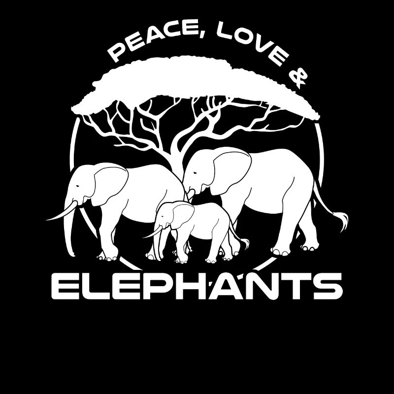 Safari éléphant éléphant