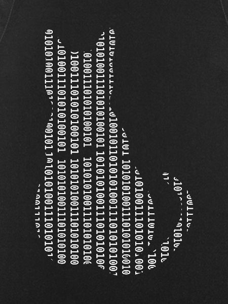 Informatiker Katze Admin Programmierer