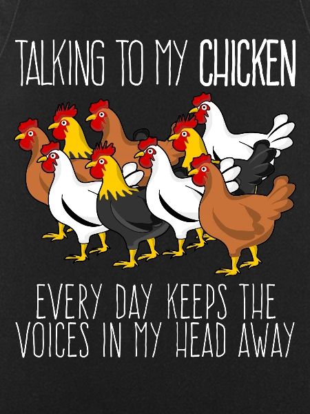 Chickens Poultry Chicken Farmer
