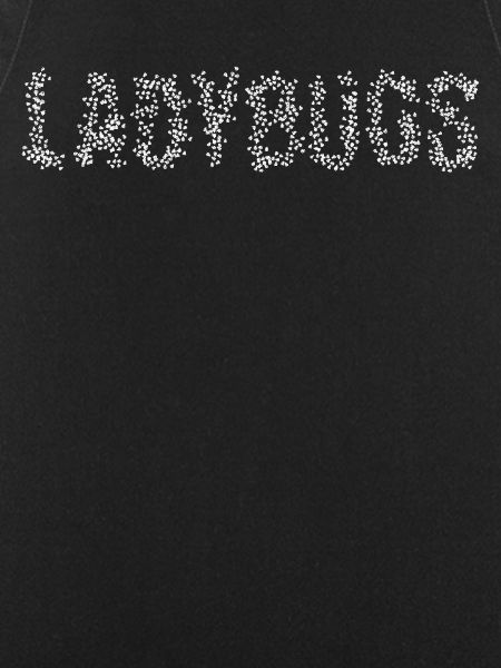 Ladybugs