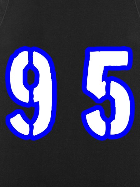 95 Number Symbol