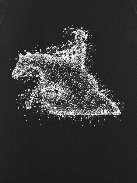 Reining - Sliding Horse