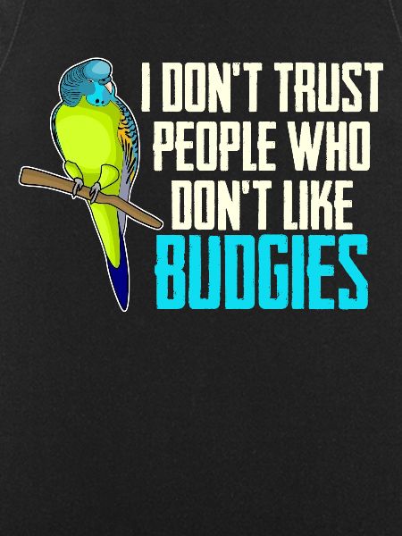 Budgie Budgie Budgerigar