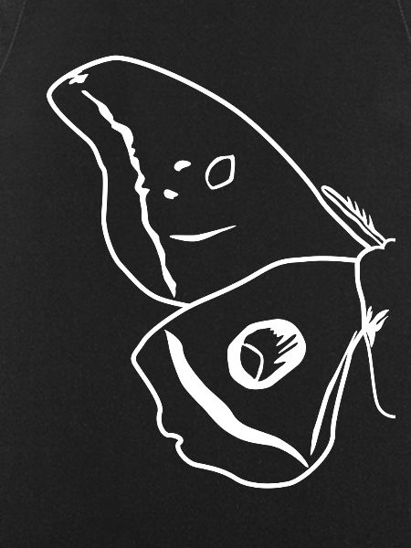 Moth Outline Wing Moth